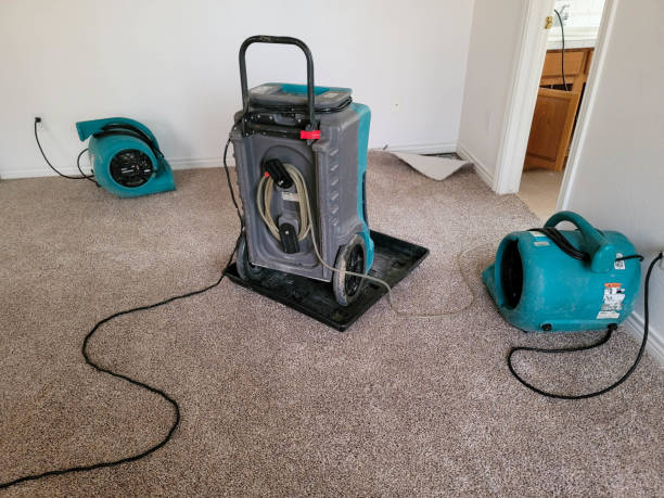 Best Residential water damage restoration  in Bronson, FL