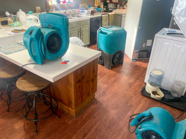 Best Water damage restoration company  in Bronson, FL