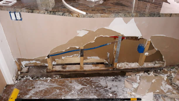 Best Water damage contractors near me  in Bronson, FL