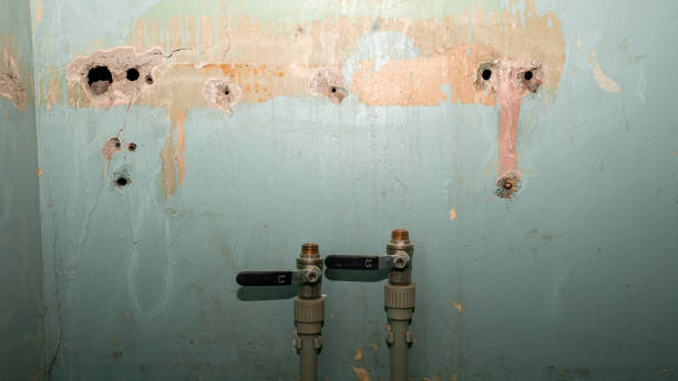 Water damage restoration process in Bronson, FL